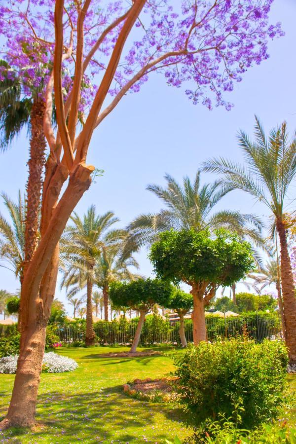 Kefi Palmera El Sokhna - Family Only Rezort 3*